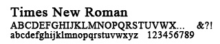 Times New Roman