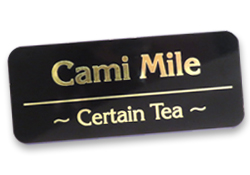1.25x3 metal badge