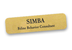 Metal name tags, custom design text only.