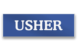 1x3 name tag, style B
