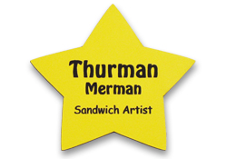 2.5x2.5 star shaped name tag