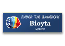 Plastic name tags, engraved text with multicolor logo.