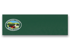 Plastic name badges, color logo, no customization.