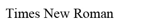 Times New Roman