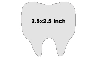 tooth